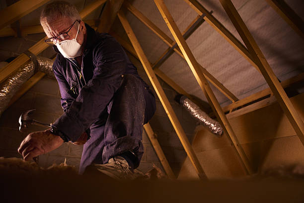 Best Insulation Materials and Products in Esperance, WA