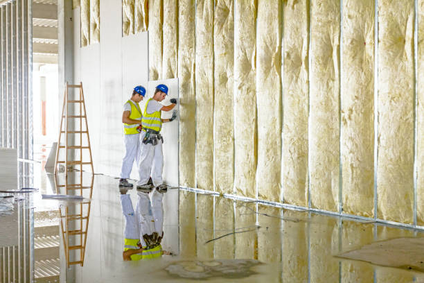 Best Types of Insulation in Esperance, WA